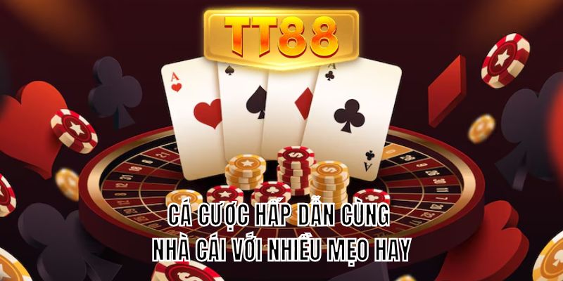 Cá cược hấp dẫn cùng nhà cái với nhiều mẹo hay