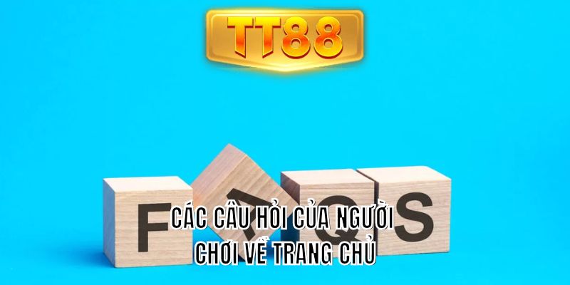 Các câu hỏi của người chơi về trang chủ