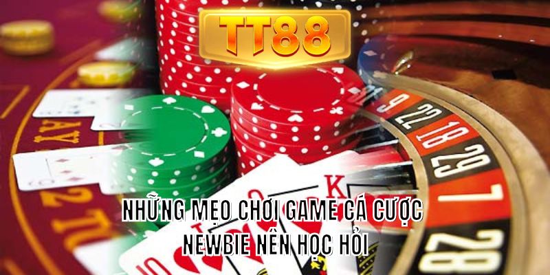 Những mẹo chơi game cá cược newbie nên học hỏi