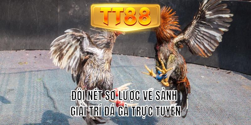 Đôi nét sơ lược về sảnh giải trí đá gà trực tuyến