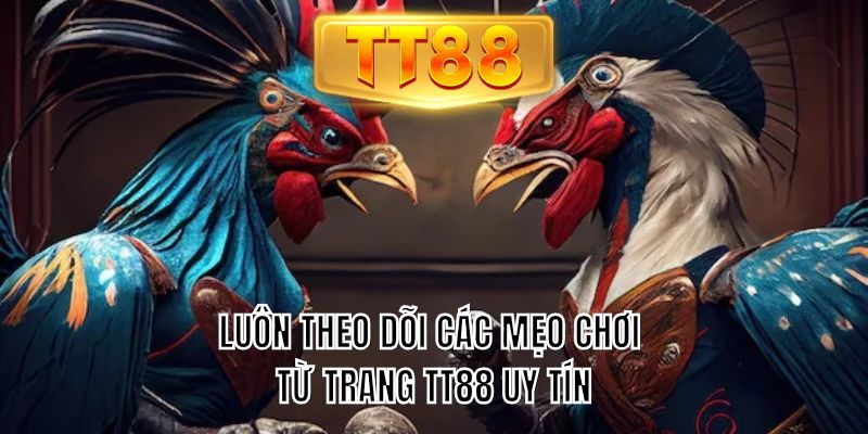 Luôn theo dõi các mẹo chơi từ trang TT88 uy tín