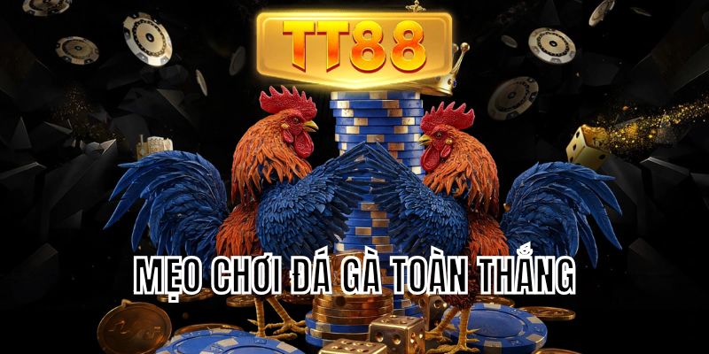 mẹo chơi đá gà toàn thắng