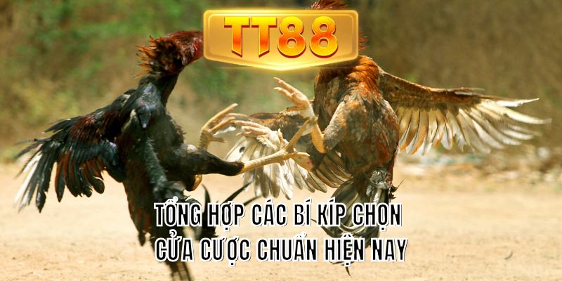 Tổng hợp các bí kíp chọn cửa cược chuẩn hiện nay