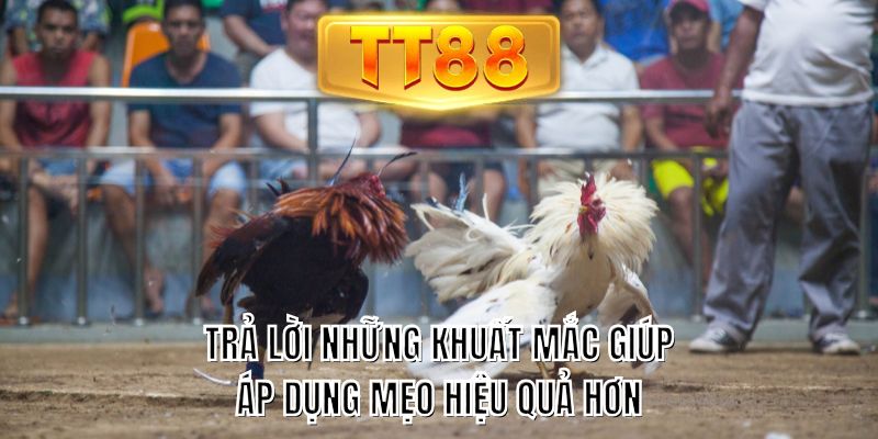 Trả lời những khuất mắc giúp áp dụng mẹo hiệu quả hơn